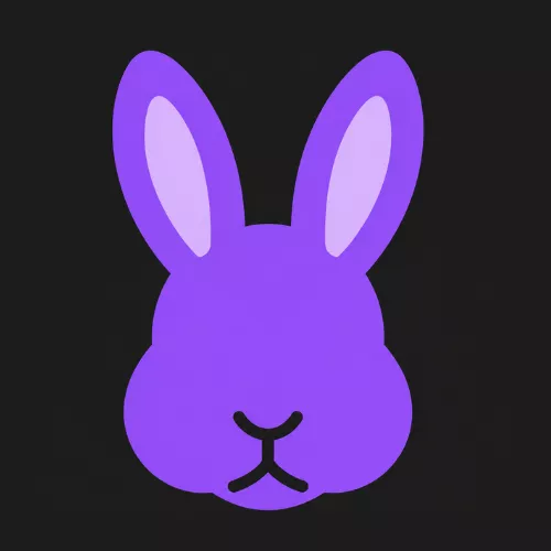 Bunny Band Pakistan | Download App or Access Online